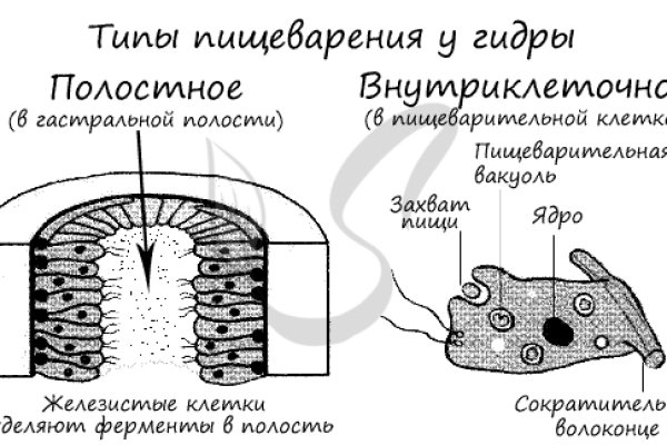 Кракен 05