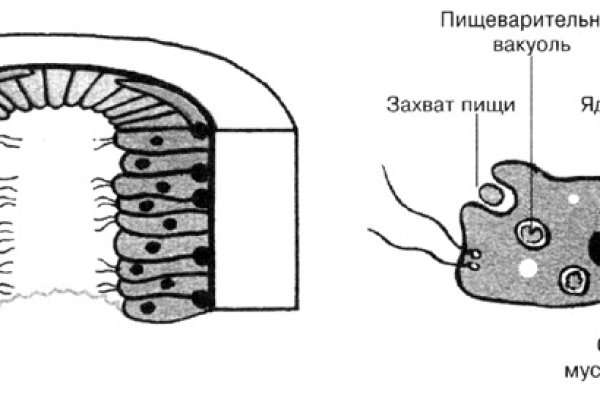 Правильная ссылка онион кракен