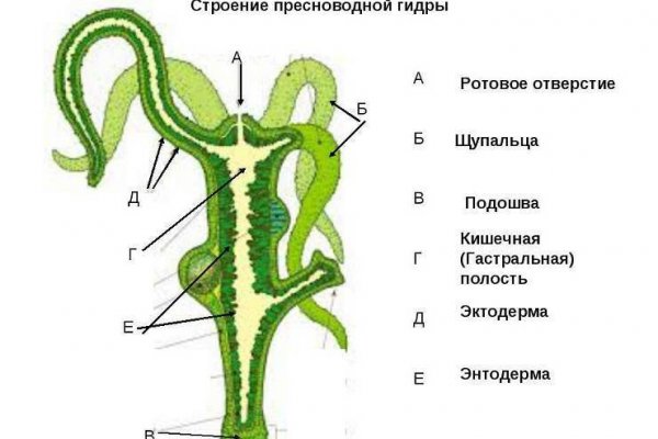 Ссылка кракена kraken clear com